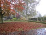 2011-11-02 x.jpg