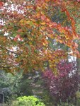 2011-11-02 1x.jpg
