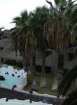 DSCN0816.jpg