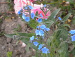 DSCN2359.JPG