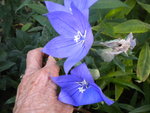 DSCN2413.JPG