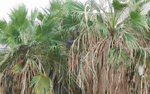 DSCN0814.jpg