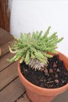 DSC01417.JPG