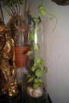 DSC01422.JPG