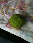 IMG_9833.jpeg