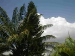 ABCD0010.JPG