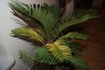 DSC01451.JPG