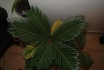 DSC01452.JPG