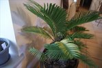 DSC01457.JPG