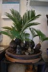 DSC01466.JPG