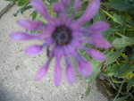 DSCN2670.JPG