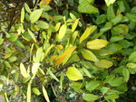 09.11.11.JPG