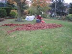 2011-11-09 corvéex.jpg