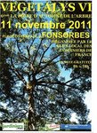 affiche440bis.JPG