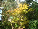 novembre 2011 274.jpg
