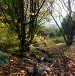 10 novembre   le thabor 2011 101.jpg