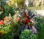 10 novembre   le thabor 2011 012.jpg