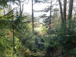 10 novembre   le thabor 2011 076.jpg