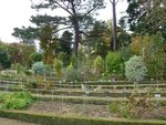 10 novembre   le thabor 2011 160.jpg