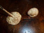 Champignon B autre vue Peut-être une carioulette?