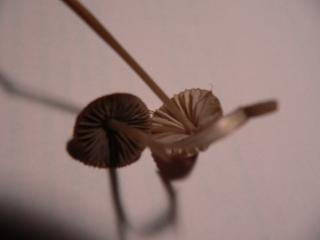 P1050037.JPG