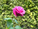 03.11.11.JPG