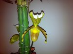 IMG_0475.JPG