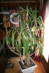IMG_4765 mod2.jpg