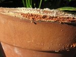 IMG_2527.JPG