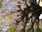 P1010337.JPG