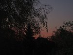 2011-11-20 x.jpg