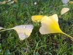 16112010134.jpg