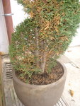 DSC00196.JPG
