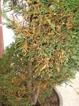 DSC00197.JPG
