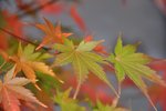 DSC_5818.jpg