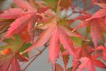 DSC_5813.jpg