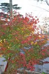 DSC_5806.jpg