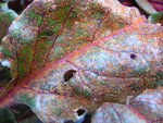 IMG_0004-small.jpg