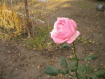 DSCN2711.JPG