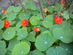 DSCN2744.JPG