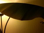 IMG00243-20111119-1739.jpg