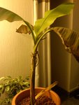 IMG00245-20111119-1740.jpg