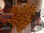 graines de gingérine.jpg