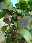 DSC00080.JPG