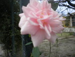 DSCN2755.JPG