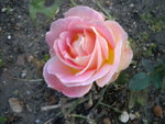 DSCN2763.JPG