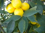 DSCN2768.JPG
