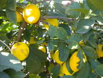 DSCN2770.JPG