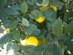 DSCN2769.JPG