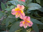 DSCN2771.JPG